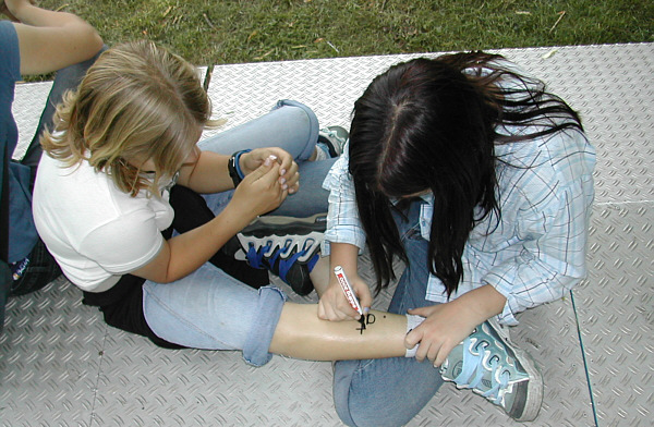 Wilhelmsburg an der Traisen, 2003!