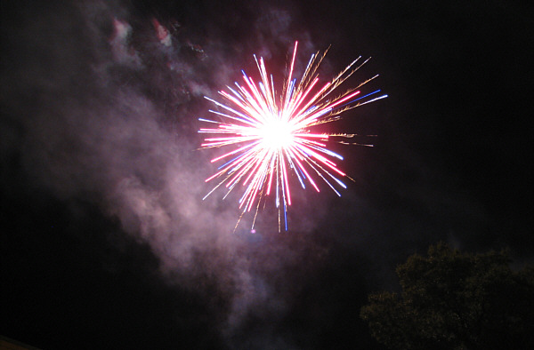 Sonnenblumenfest in Zistersdorf, 2007!