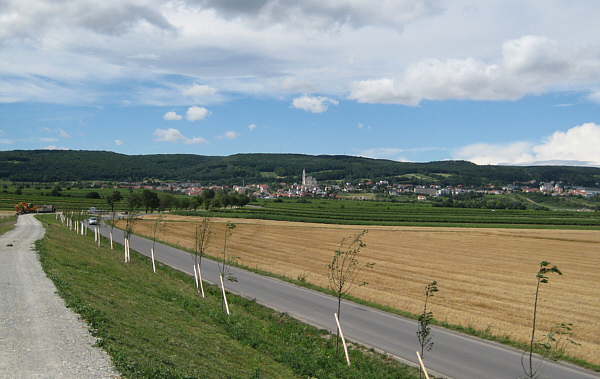 Winzerkirtag in Kleinhflein (Eisenstadt), Juli 2007!