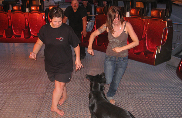 Frhlingsfest in Bregenz, 2008!