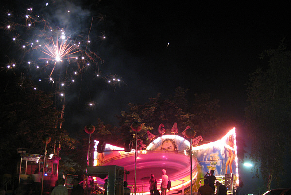 Sonnenblumenfest in Zistersdorf, Juni 2008!