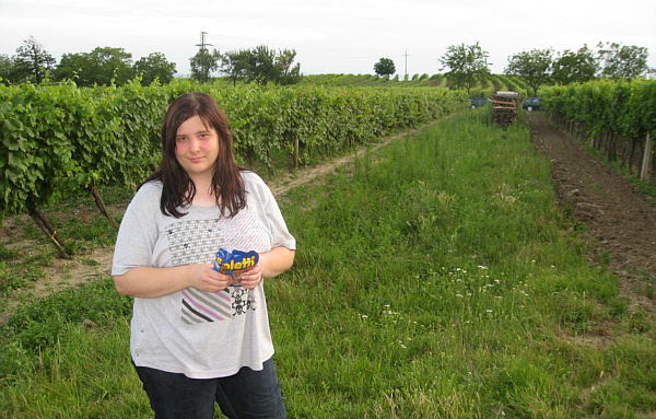Winzerkirtag in Kleinhflein bei Eisenstadt, 2008!