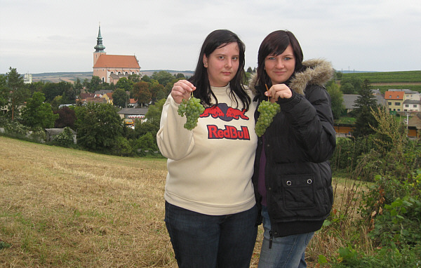 Winzerfest in Poysdorf, September 2008!