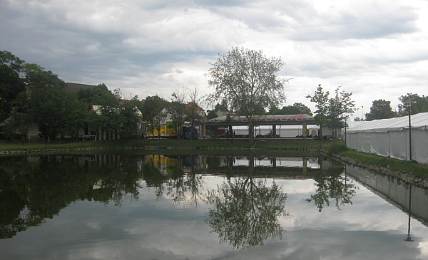 Sonnenblumenfest in Zistersdorf, Juni 2009!