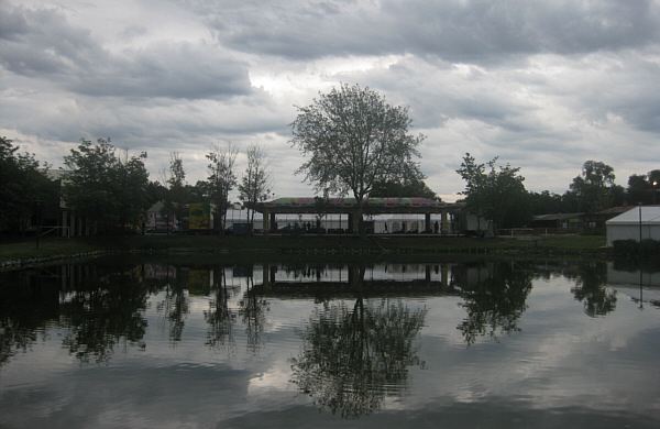 Sonnenblumenfest in Zistersdorf, Juni 2009!