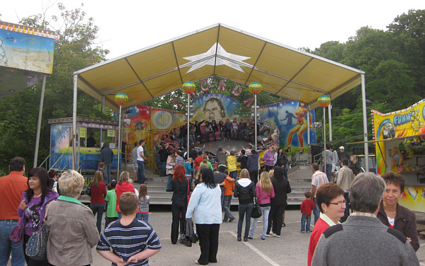 Sonnenblumenfest in Zistersdorf, Juni 2009!