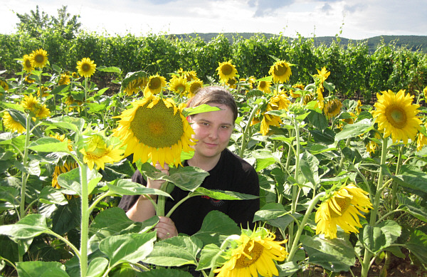 Winzerkirtag in Kleinhflein (Eisenstadt), Juli 2009!