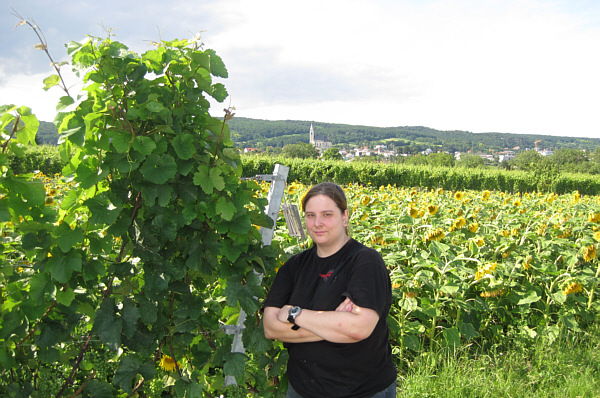 Winzerkirtag in Kleinhflein (Eisenstadt), Juli 2009!